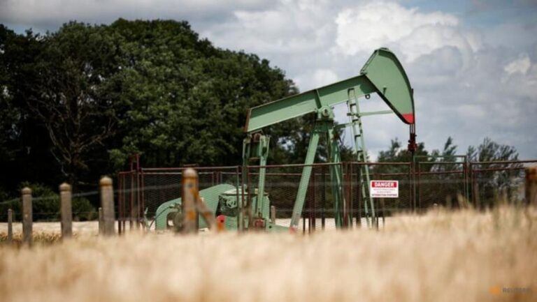 2025-06-23t001549z_1_lynxmpel5m006_rtroptp_3_global-oil.jpg