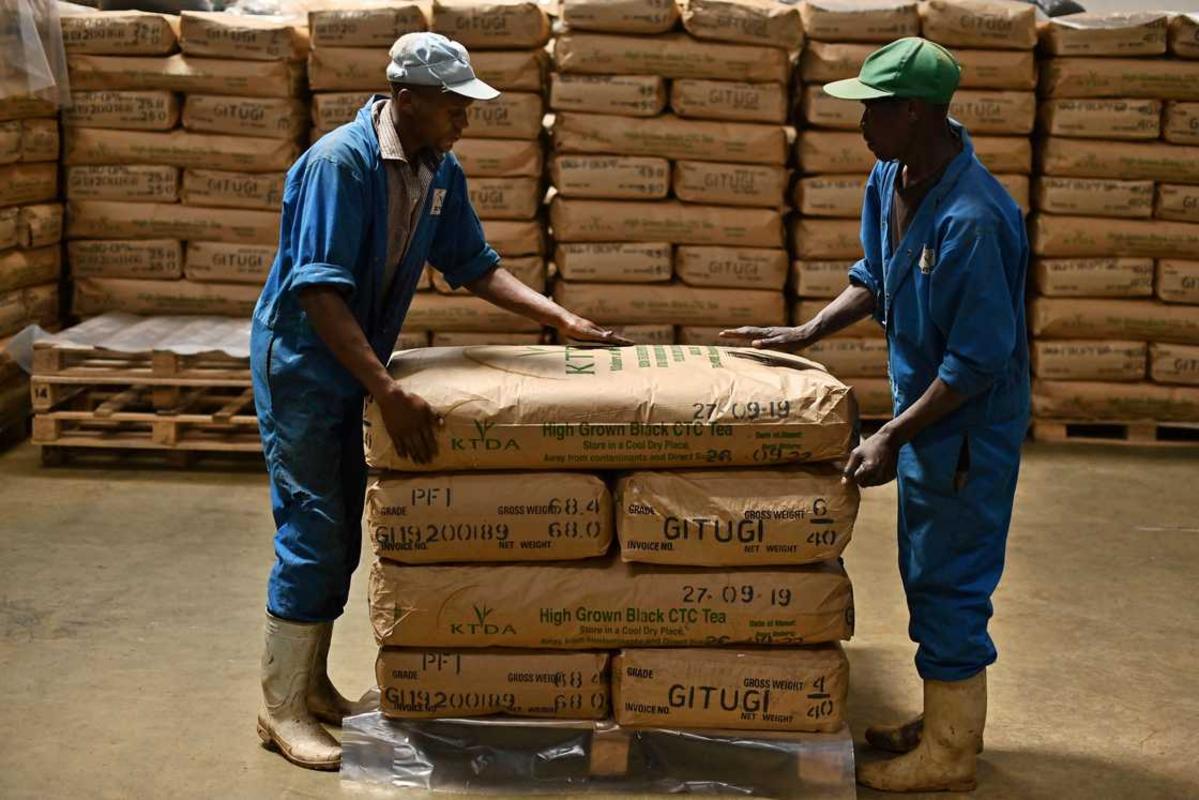 Trà được đóng gói để vận chuyển tại một nhà máy ở Kenya.
